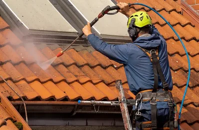Démoussage et hydrofuge de toiture à Lumio